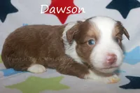 processed/05790062-eee4-4771-b9a8-5d63679581cb/listing/d0cb5cb8-e253-4df6-891e-3f96cf0f83dc/ee029815-df2c-4595-9a7f-2787391e4717