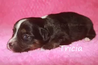 processed/05790062-eee4-4771-b9a8-5d63679581cb/listing/f8a7f161-7ac8-4289-a973-95ef473f15c6/3b7e455c-38a2-423f-8776-ffd329d1aa9c