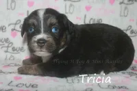 processed/05790062-eee4-4771-b9a8-5d63679581cb/listing/f8a7f161-7ac8-4289-a973-95ef473f15c6/8c718ab9-e97c-4bd9-8cc8-1871beb97ae8