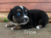 processed/05790062-eee4-4771-b9a8-5d63679581cb/listing/f8a7f161-7ac8-4289-a973-95ef473f15c6/98764075-b456-4465-86c6-45a8d0dedaba