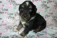 processed/05790062-eee4-4771-b9a8-5d63679581cb/listing/fdbb094e-9102-4a62-bda7-026c1b7c74d4/49e3083a-5f57-4f30-a501-93b46ee88ba1