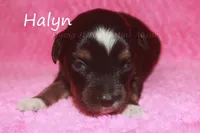 processed/05790062-eee4-4771-b9a8-5d63679581cb/listing/fdbb094e-9102-4a62-bda7-026c1b7c74d4/6b2589de-f8f8-4ebb-b411-cac6eb03946c