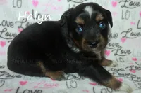 processed/05790062-eee4-4771-b9a8-5d63679581cb/listing/fdbb094e-9102-4a62-bda7-026c1b7c74d4/78416212-0f2e-41bf-80bf-a02bfc1414df