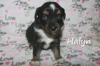 processed/05790062-eee4-4771-b9a8-5d63679581cb/listing/fdbb094e-9102-4a62-bda7-026c1b7c74d4/bd1d6512-b38a-4e90-9328-420f96ebbb23