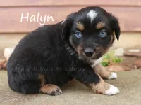 processed/05790062-eee4-4771-b9a8-5d63679581cb/listing/fdbb094e-9102-4a62-bda7-026c1b7c74d4/ddb56098-abb8-4ec6-b9d3-fcf2f38e4468