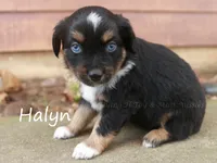 processed/05790062-eee4-4771-b9a8-5d63679581cb/listing/fdbb094e-9102-4a62-bda7-026c1b7c74d4/f68526e0-b585-4542-b6b7-6968bb5ca294