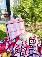 Bella, a female Maltese for sale in San Antonio, TX – 1 of 5