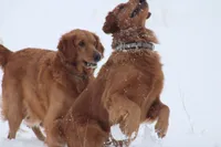 processed/057ed195-5950-4a65-8d32-e228474e62b7/facility/274ee83b-9ab1-484b-abdf-fbcbe5c7ec4f