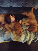 processed/057ed195-5950-4a65-8d32-e228474e62b7/facility/381b8efb-a786-4221-b1f7-3f095cd36dd6