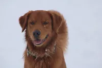 processed/057ed195-5950-4a65-8d32-e228474e62b7/facility/59da97ca-7359-4077-b419-8c5592d65bc4