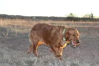 processed/057ed195-5950-4a65-8d32-e228474e62b7/facility/5baa4bd7-d970-46ae-8c72-9c5c7431a29b