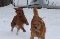 processed/057ed195-5950-4a65-8d32-e228474e62b7/facility/5be87b00-b777-4e12-8327-4fb538e85b46