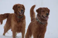 processed/057ed195-5950-4a65-8d32-e228474e62b7/facility/c1bfedfa-8b94-4251-9e7e-697194f0abd4