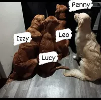 processed/057ed195-5950-4a65-8d32-e228474e62b7/facility/f45a0f73-7468-4b6f-ad73-fa11f161b6ed