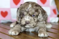 processed/058052fe-f2b0-4892-8738-594cd65f869f/listing/1ab94d73-327b-4001-930a-e0be13f0675e/39affe77-46b4-4021-b66b-2b18e1c4bca9