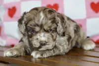 processed/058052fe-f2b0-4892-8738-594cd65f869f/listing/1ab94d73-327b-4001-930a-e0be13f0675e/57ff2e7a-6109-4f5d-8764-748d84649ef7