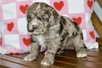 processed/058052fe-f2b0-4892-8738-594cd65f869f/listing/1ab94d73-327b-4001-930a-e0be13f0675e/7856f3f2-1561-4409-ba76-cd83443224fe