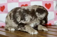 processed/058052fe-f2b0-4892-8738-594cd65f869f/listing/1ab94d73-327b-4001-930a-e0be13f0675e/c080d23d-1fff-41ae-a441-64d4e4627d1e