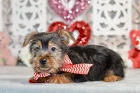 processed/058052fe-f2b0-4892-8738-594cd65f869f/listing/35cb5939-7e9a-4ad1-95b7-0827c5adb9a0/58f37452-8540-40b0-96a6-1085ea3c4983