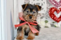 processed/058052fe-f2b0-4892-8738-594cd65f869f/listing/35cb5939-7e9a-4ad1-95b7-0827c5adb9a0/89fdb39b-9d41-4488-97c2-2d9ea12f1f83