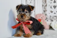 processed/058052fe-f2b0-4892-8738-594cd65f869f/listing/35cb5939-7e9a-4ad1-95b7-0827c5adb9a0/c5a8ded5-46b0-4c9d-bd06-91429d2a7de1