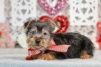 processed/058052fe-f2b0-4892-8738-594cd65f869f/listing/35cb5939-7e9a-4ad1-95b7-0827c5adb9a0/ca1079df-9b70-41db-ad08-fccad73ab710