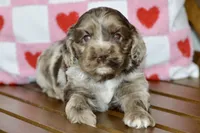 processed/058052fe-f2b0-4892-8738-594cd65f869f/listing/f1b6846e-fb21-4e70-8666-42565e63c98b/1ff7e895-ba79-4132-b41d-11fe83010b0e