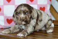 processed/058052fe-f2b0-4892-8738-594cd65f869f/listing/f1b6846e-fb21-4e70-8666-42565e63c98b/205673d8-86f6-478e-8f2e-ab7dfdafbd61