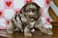 processed/058052fe-f2b0-4892-8738-594cd65f869f/listing/f1b6846e-fb21-4e70-8666-42565e63c98b/22c60101-09f3-4944-abd9-a90a8eedb081