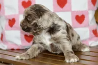 processed/058052fe-f2b0-4892-8738-594cd65f869f/listing/f1b6846e-fb21-4e70-8666-42565e63c98b/61535582-3ea3-4d32-9891-89453f63cb02