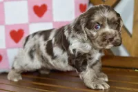 processed/058052fe-f2b0-4892-8738-594cd65f869f/listing/f1b6846e-fb21-4e70-8666-42565e63c98b/86668efa-15ba-4665-a946-25540beacc95