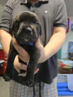 processed/059cd3f9-974c-4855-b69d-76bc18a32cf2/listing/9f493e1d-63a1-402a-9eaf-e139cd5a0340/48e38d1e-1dfe-4c6c-ba86-151404613688