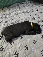 processed/059cd3f9-974c-4855-b69d-76bc18a32cf2/listing/b0199ef7-f53a-4451-af26-f5c3d931283b/97f901de-e1be-4d51-a9c2-b4ea2329790a