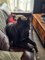 processed/059cd3f9-974c-4855-b69d-76bc18a32cf2/listing/b7381a79-7972-44c7-8b7b-1fe9f9603e3d/2efd1590-6b1f-446f-8d0f-bc3070f219a9