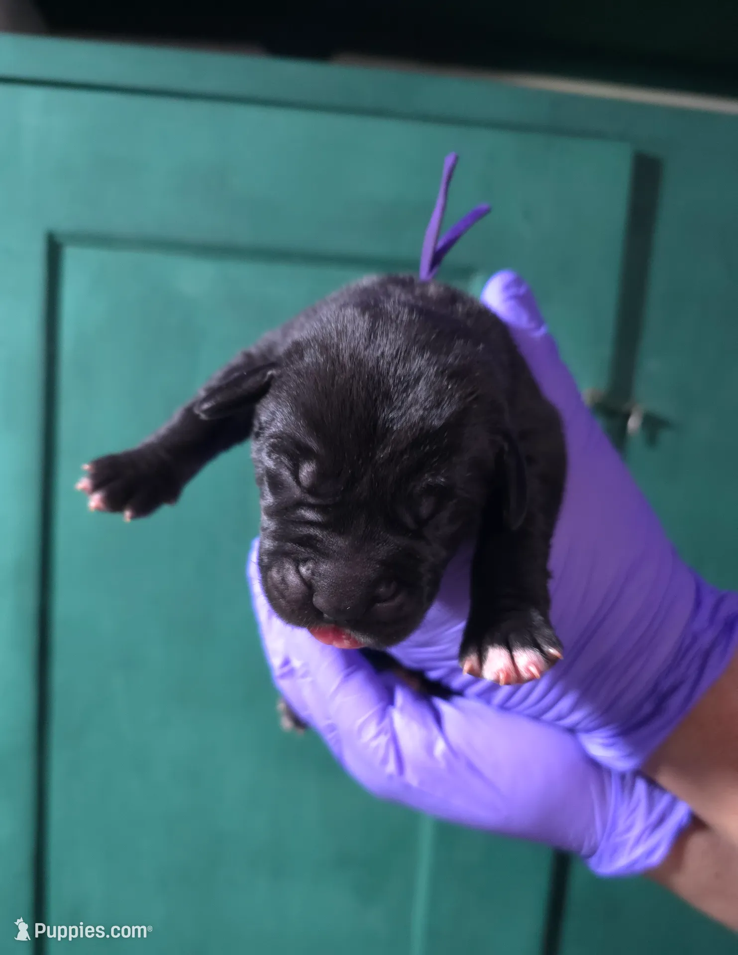 processed/059cd3f9-974c-4855-b69d-76bc18a32cf2/listing/efd4dd7a-93c7-435a-86c0-a376d920abfa/510097e5-b3dd-47af-af13-e5a8f22b75fb