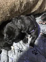 processed/059cd3f9-974c-4855-b69d-76bc18a32cf2/listing/efd4dd7a-93c7-435a-86c0-a376d920abfa/7dc34de7-0355-40e8-a2f9-a19dd90e4f84