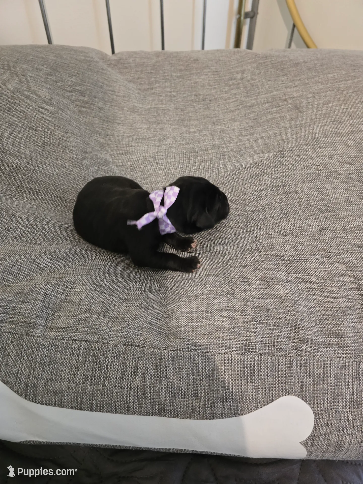 processed/059cd3f9-974c-4855-b69d-76bc18a32cf2/listing/efd4dd7a-93c7-435a-86c0-a376d920abfa/e7eebe6a-3826-423f-8372-5bb49d470663