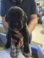 processed/059cd3f9-974c-4855-b69d-76bc18a32cf2/listing/efd4dd7a-93c7-435a-86c0-a376d920abfa/ffd39216-cc0d-40e2-92ee-12b932d787cb