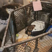 processed/05a7c1d7-d927-4018-b4c6-707fabe9e57c/facility/342b846b-da5c-483a-847b-b7a7301234b8