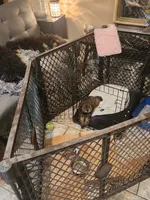 processed/05a7c1d7-d927-4018-b4c6-707fabe9e57c/facility/342b846b-da5c-483a-847b-b7a7301234b8