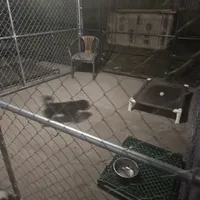 processed/05a7c1d7-d927-4018-b4c6-707fabe9e57c/facility/57b6f605-df27-45ee-86bc-64d323f37bd8