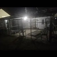 processed/05a7c1d7-d927-4018-b4c6-707fabe9e57c/facility/cd038e74-8d73-4caa-9e9b-6864570abc6b