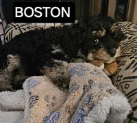 processed/05a7c1d7-d927-4018-b4c6-707fabe9e57c/listing/3055b9d1-f8c6-4cac-96e0-46187b3bfc4d/3db5a523-289b-40e3-9c23-8c76debc5201