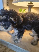 processed/05a7c1d7-d927-4018-b4c6-707fabe9e57c/listing/3055b9d1-f8c6-4cac-96e0-46187b3bfc4d/6cde4dd9-3571-44d2-9d17-9aaf49c8b5fd