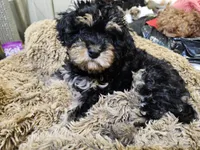 processed/05a7c1d7-d927-4018-b4c6-707fabe9e57c/listing/3055b9d1-f8c6-4cac-96e0-46187b3bfc4d/992c4f23-e8fe-4853-9e8c-abd17099a99a