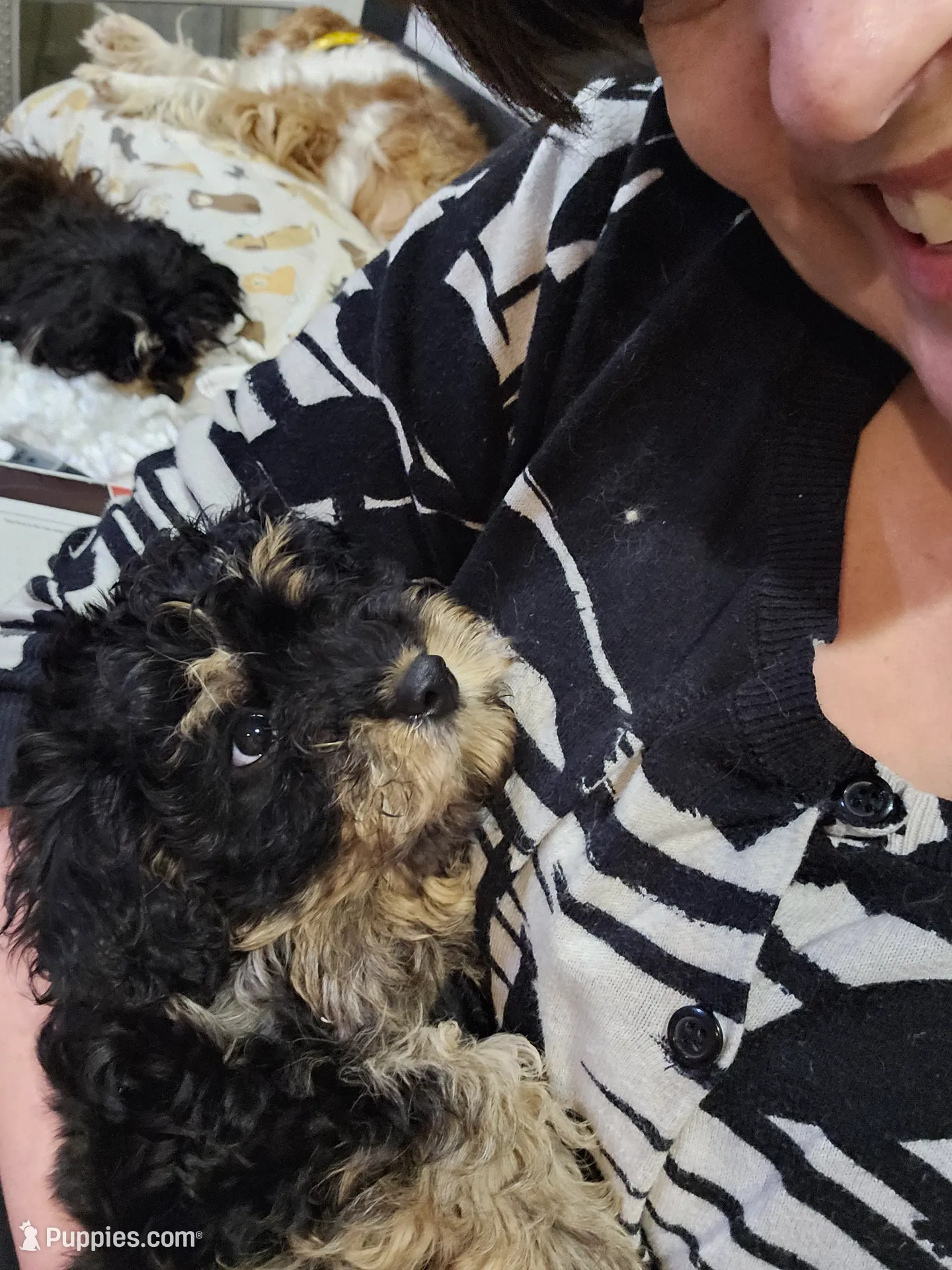 processed/05a7c1d7-d927-4018-b4c6-707fabe9e57c/listing/3055b9d1-f8c6-4cac-96e0-46187b3bfc4d/9c214e15-ca42-4d3d-95f2-0432b0be91d0