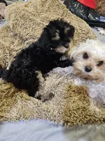 processed/05a7c1d7-d927-4018-b4c6-707fabe9e57c/listing/3055b9d1-f8c6-4cac-96e0-46187b3bfc4d/9cb58ad2-4a69-448e-9b15-84039588201b