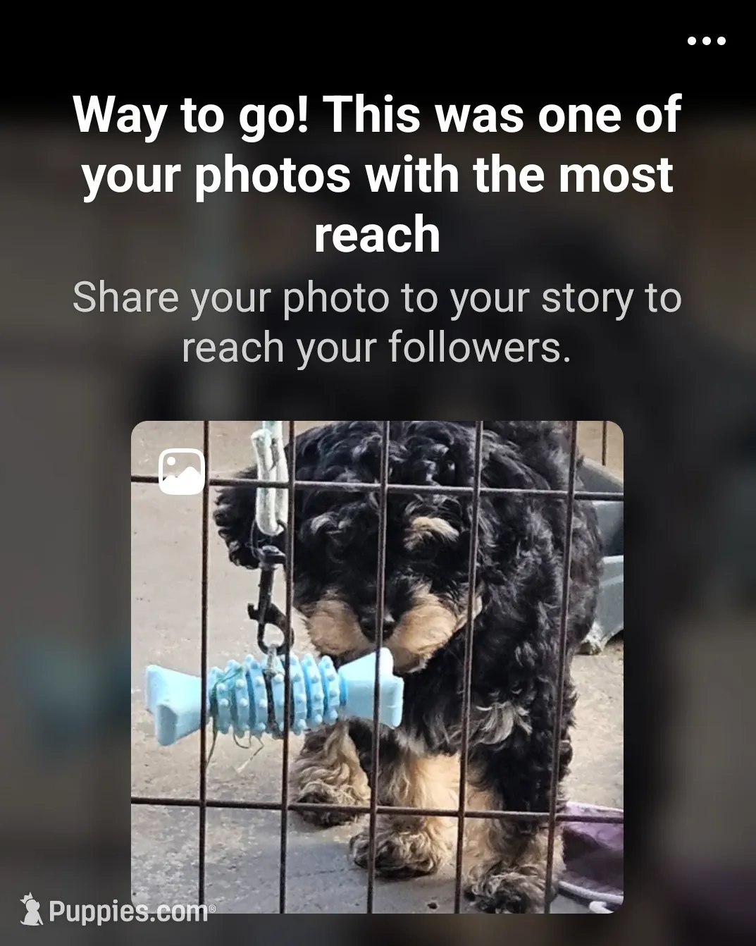 processed/05a7c1d7-d927-4018-b4c6-707fabe9e57c/listing/3055b9d1-f8c6-4cac-96e0-46187b3bfc4d/9f4ac8f6-07f8-44fc-ab65-d3ff4dae408d