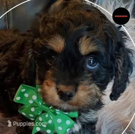 processed/05a7c1d7-d927-4018-b4c6-707fabe9e57c/listing/3055b9d1-f8c6-4cac-96e0-46187b3bfc4d/c0a4b94c-9312-472a-b487-8db890cc242b