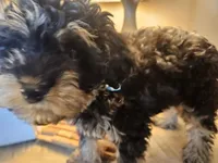 processed/05a7c1d7-d927-4018-b4c6-707fabe9e57c/listing/3055b9d1-f8c6-4cac-96e0-46187b3bfc4d/d47ee946-0014-4e32-980a-5e2cf430fb13